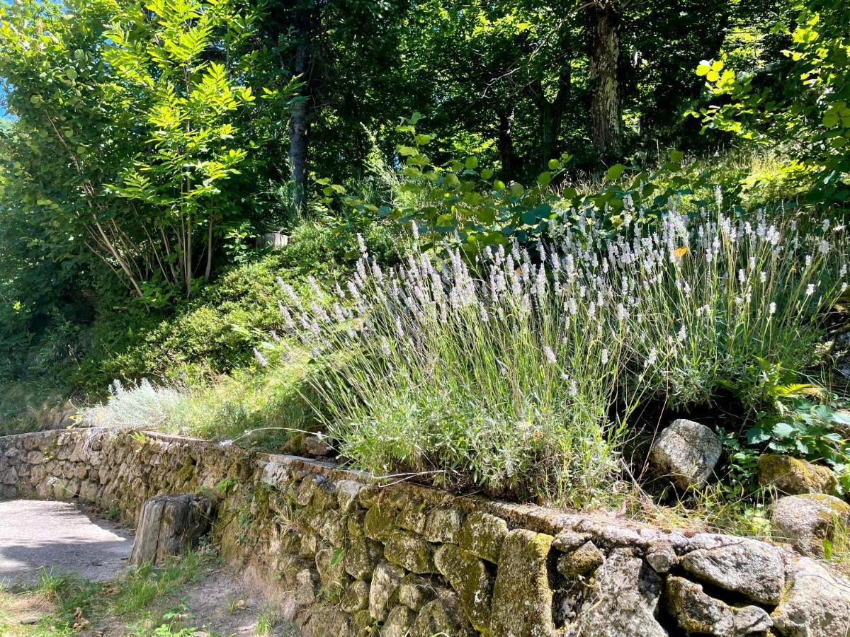 Gite Des Sausses Dans Une Nature Preservee Burzet Exterior foto